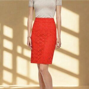 Gorgeous Ann Taylor Pencil Skirt with Floral Lace / Size 10